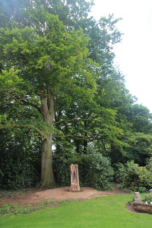 Chainsaw carving