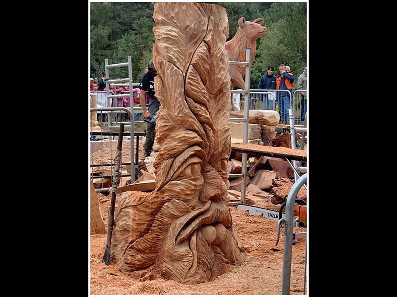 picture of carving