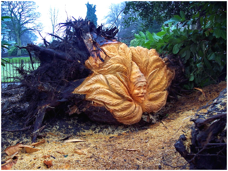picture of pixie stump carving