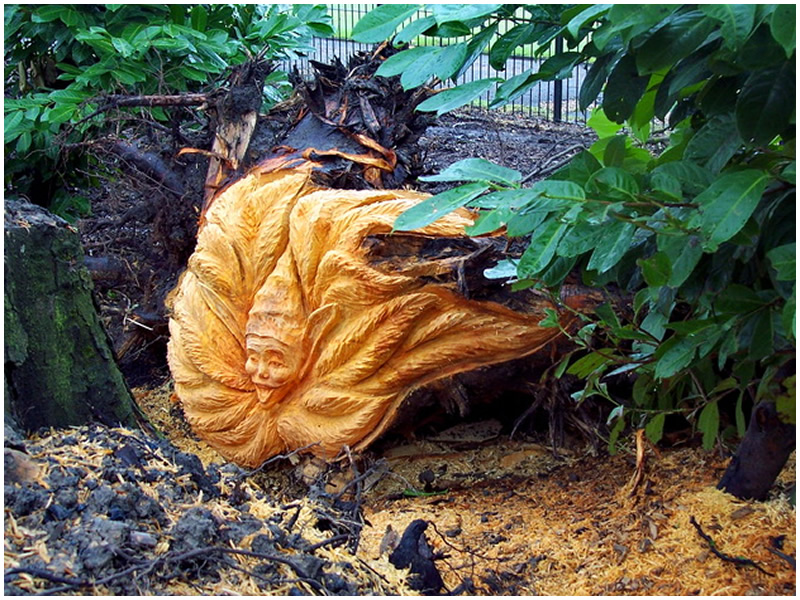 picture of pixie stump carving