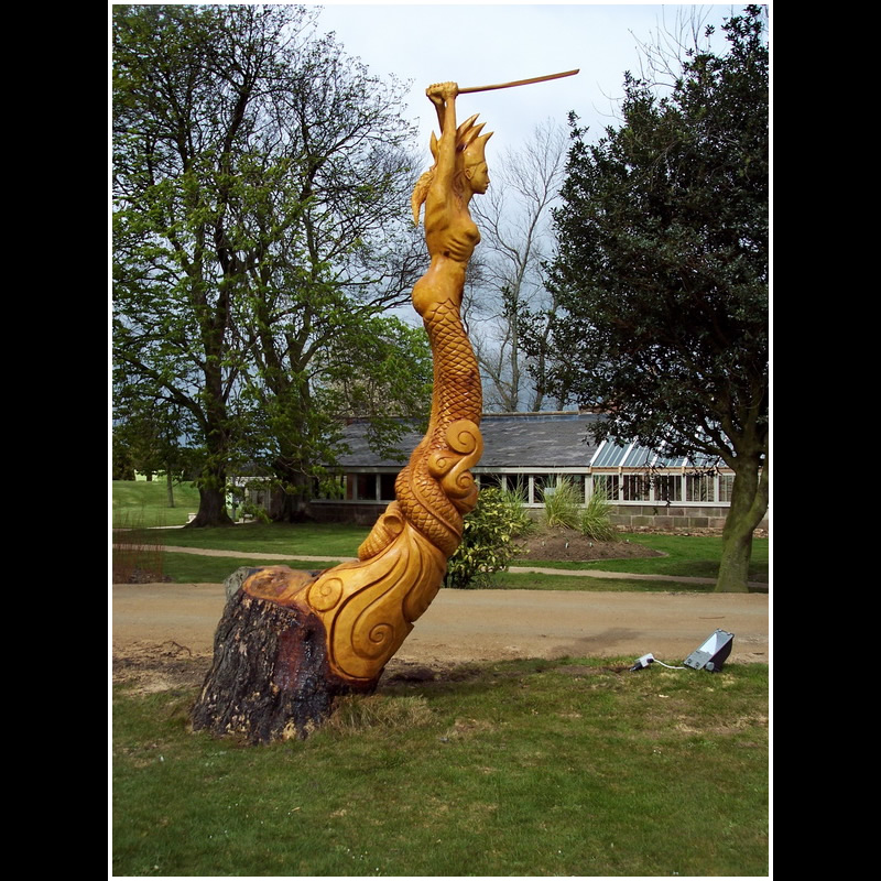 Chainsaw carving