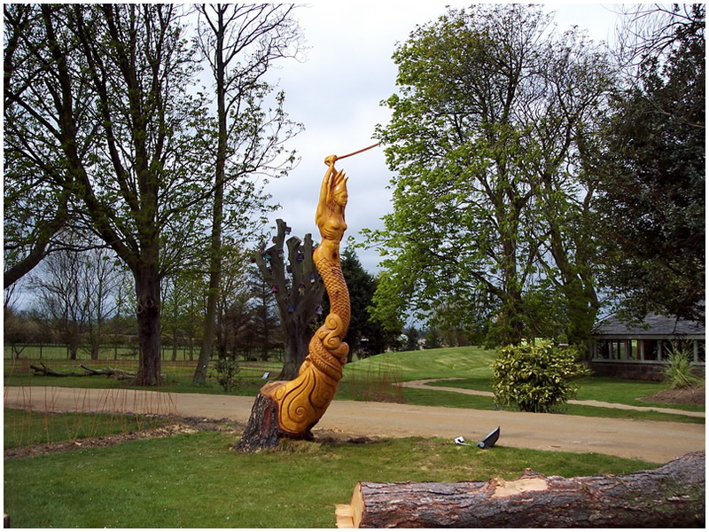 Chainsaw carving