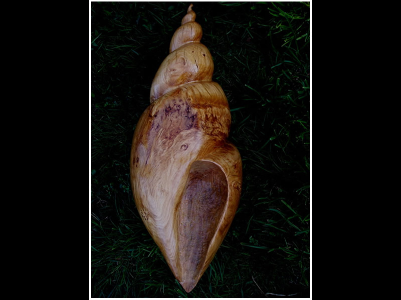 picture of shell carving