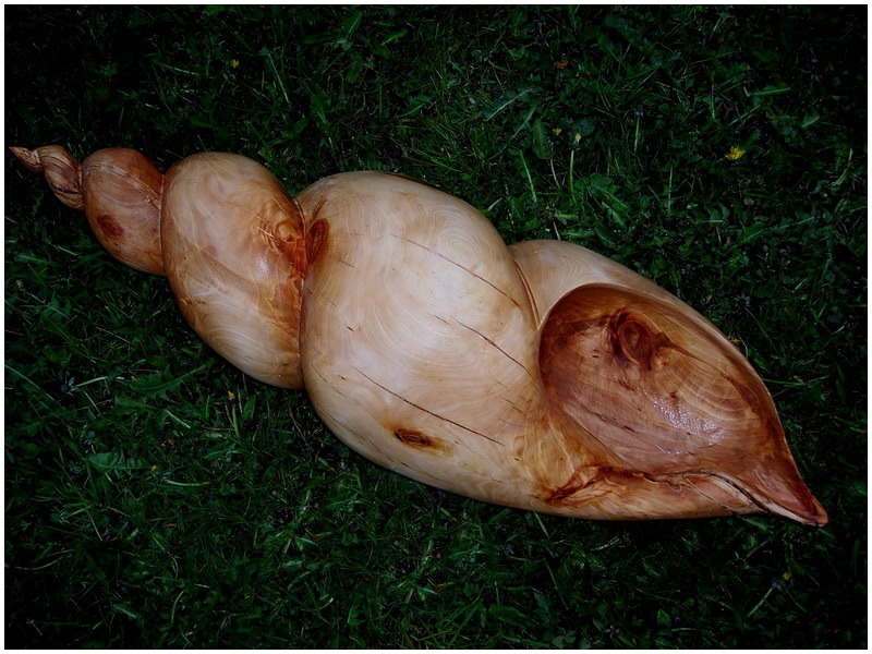 picture of shell carving