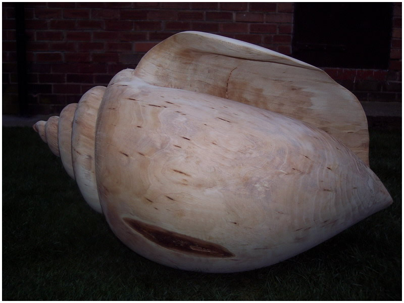 picture of shell carving