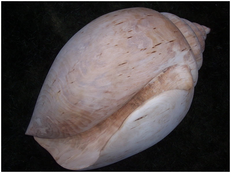 picture of shell carving