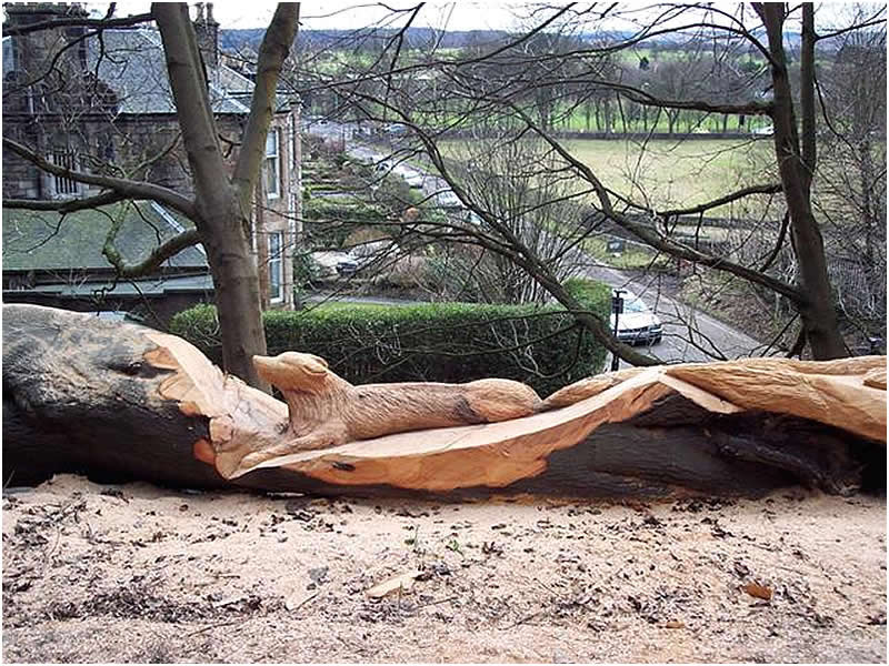 picture of stirling castle carving