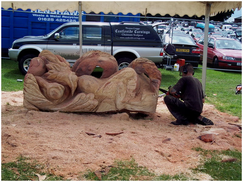 picture of tatton carving