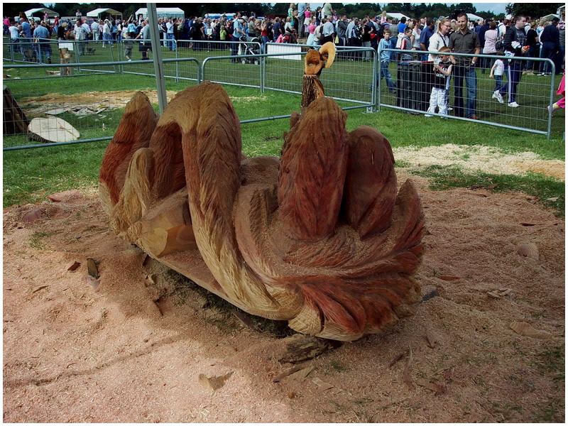 picture of tatton carving