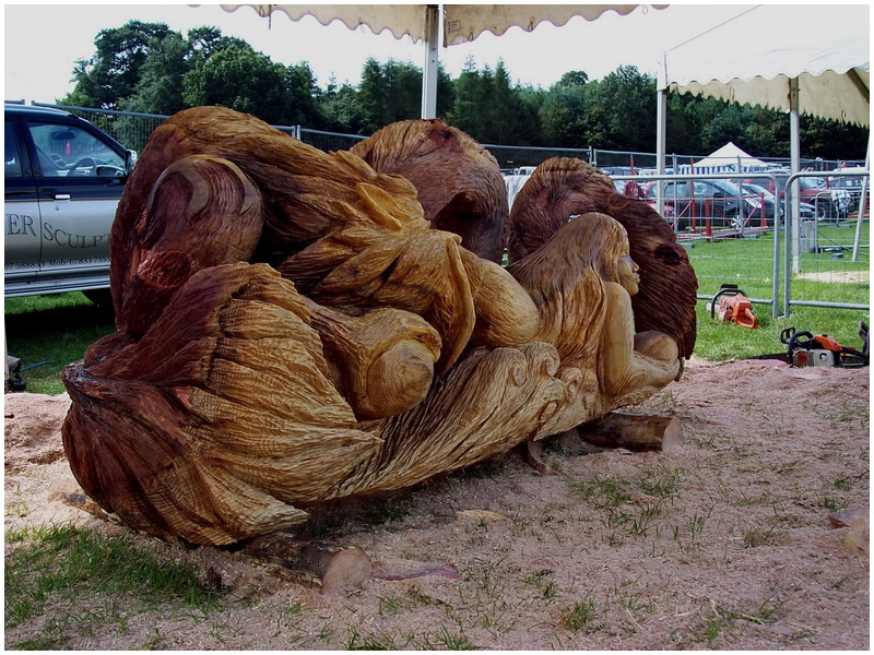 picture of tatton carving