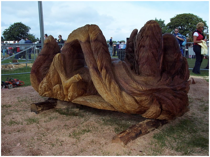 picture of tatton carving