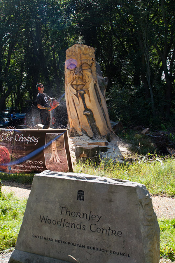 Chainsaw carving