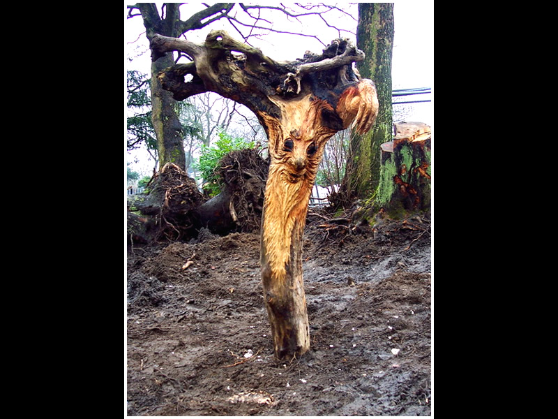 picture of tree root carving