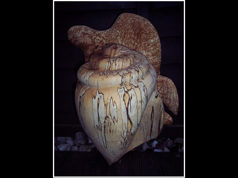 picture of turtle carving