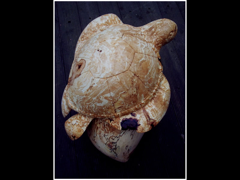 picture of turtle carving