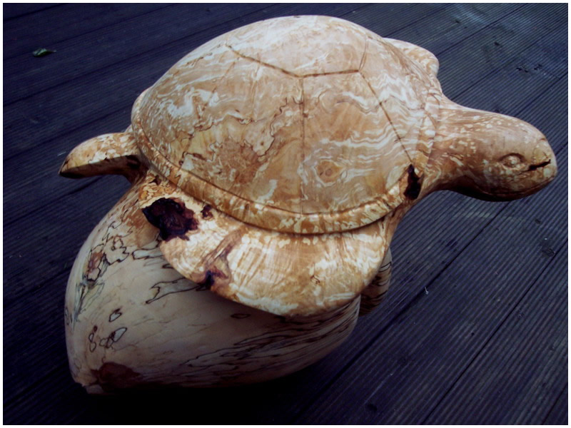 picture of turtle carving