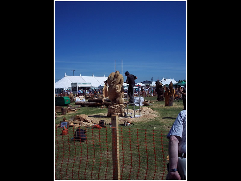 picture of woodfest