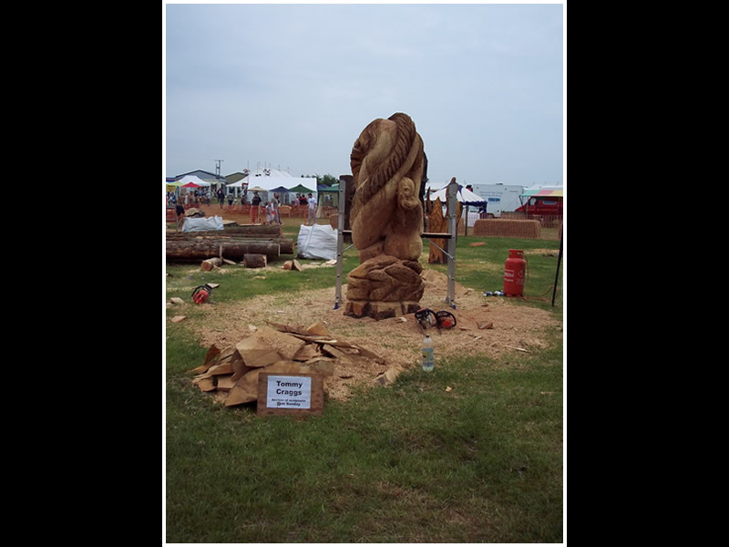 picture of woodfest