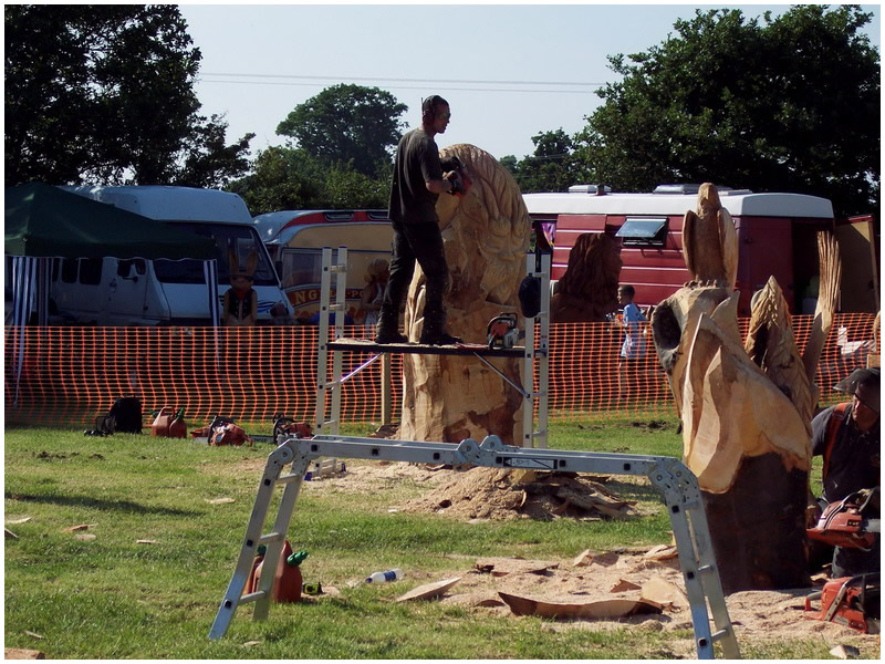 picture of woodfest